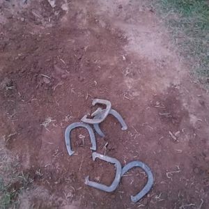 Meet your Posher, Teddy